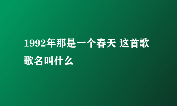 1992年那是一个春天 这首歌歌名叫什么