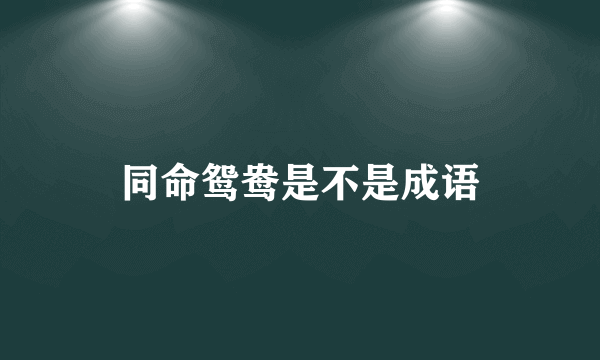 同命鸳鸯是不是成语