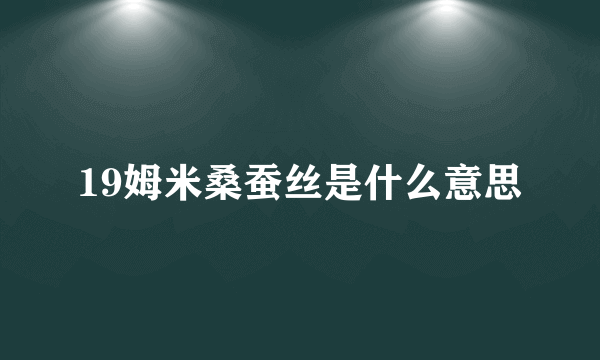 19姆米桑蚕丝是什么意思