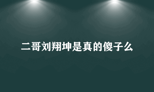 二哥刘翔坤是真的傻子么