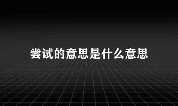 尝试的意思是什么意思