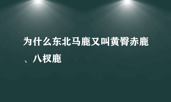 为什么东北马鹿又叫黄臀赤鹿、八杈鹿