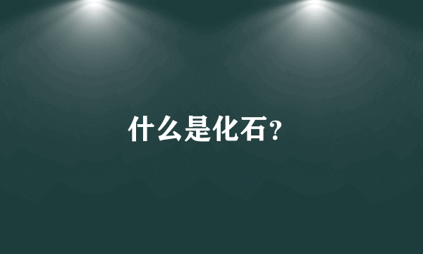 什么是化石？