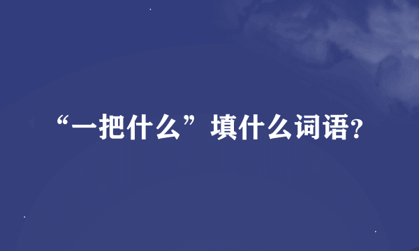 “一把什么”填什么词语？