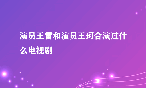 演员王雷和演员王珂合演过什么电视剧