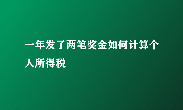 一年发了两笔奖金如何计算个人所得税