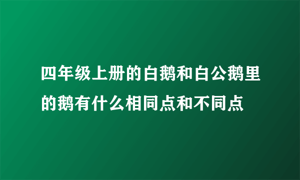 四年级上册的白鹅和白公鹅里的鹅有什么相同点和不同点