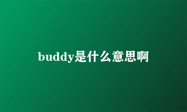 buddy是什么意思啊