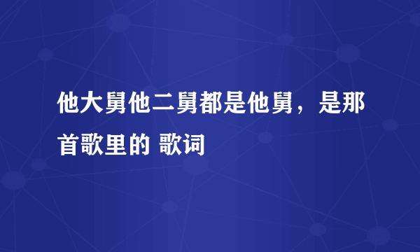 他大舅他二舅都是他舅，是那首歌里的 歌词