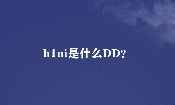 h1ni是什么DD？