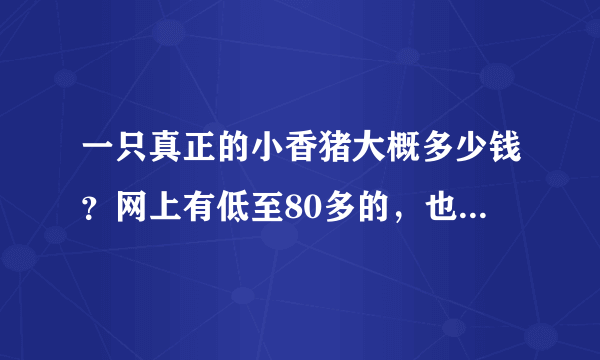 一只真正的小香猪大概多少钱？网上有低至80多的，也有高至1800多的