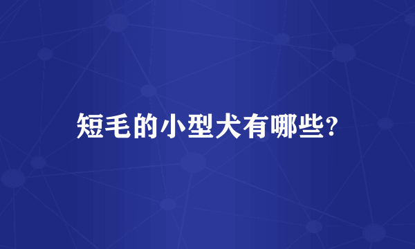 短毛的小型犬有哪些?