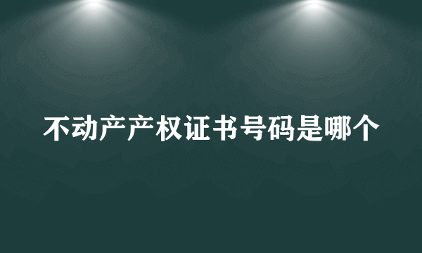 不动产产权证书号码是哪个