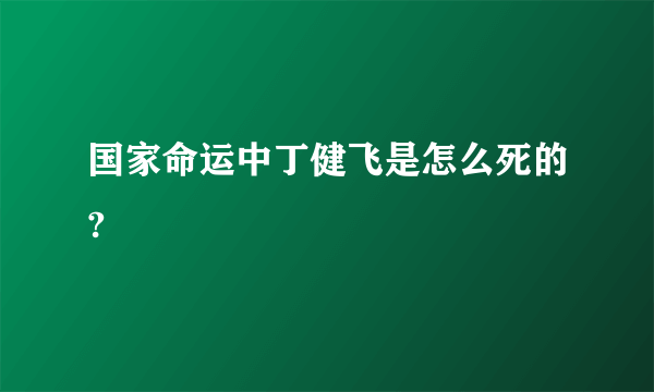 国家命运中丁健飞是怎么死的?