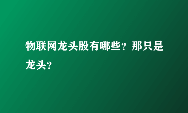 物联网龙头股有哪些？那只是龙头？