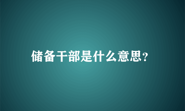 储备干部是什么意思？