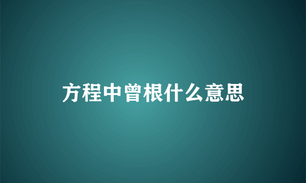 方程中曾根什么意思