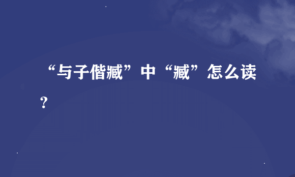 “与子偕臧”中“臧”怎么读？