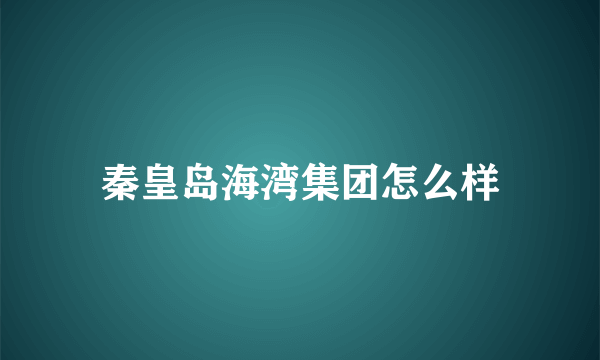 秦皇岛海湾集团怎么样