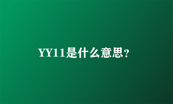 YY11是什么意思？