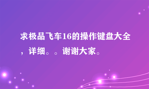 求极品飞车16的操作键盘大全，详细。。谢谢大家。