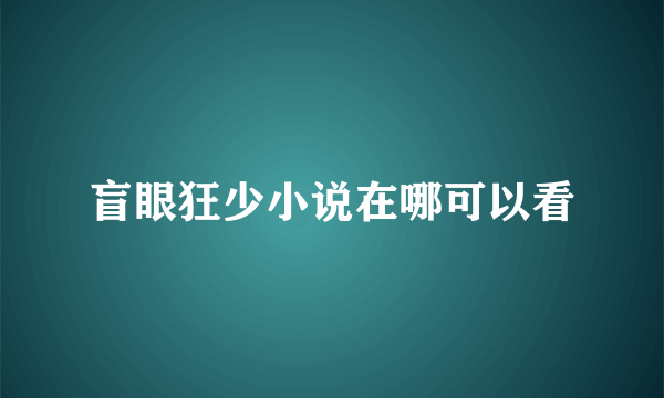 盲眼狂少小说在哪可以看