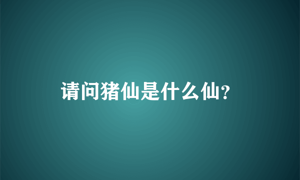 请问猪仙是什么仙？