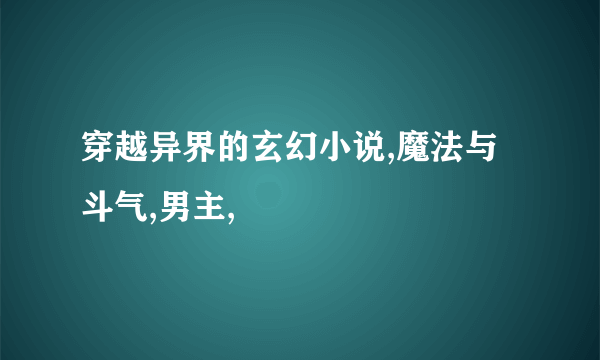 穿越异界的玄幻小说,魔法与斗气,男主,