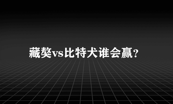 藏獒vs比特犬谁会赢？