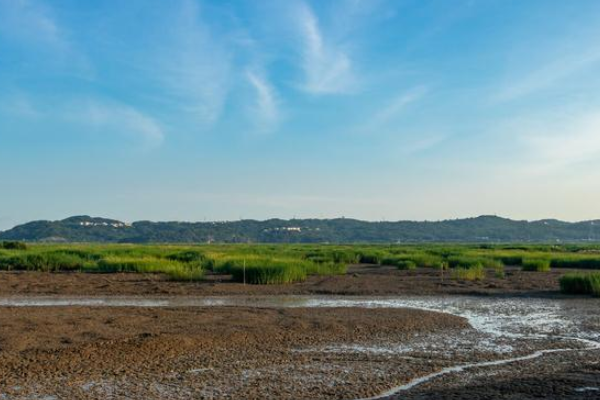 沧海和秦皇岛都属沿海城市，为何沧海没有沙滩呢？