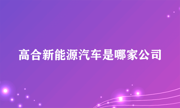 高合新能源汽车是哪家公司