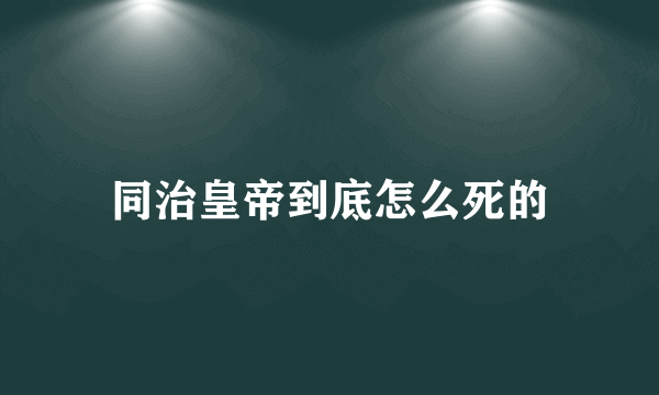 同治皇帝到底怎么死的