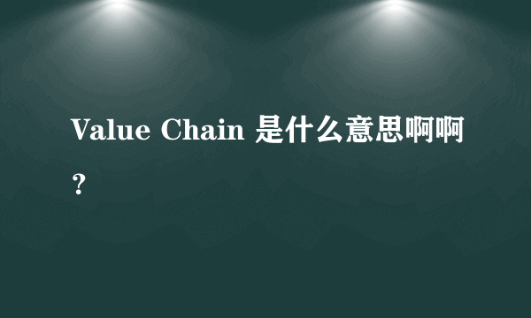 Value Chain 是什么意思啊啊？