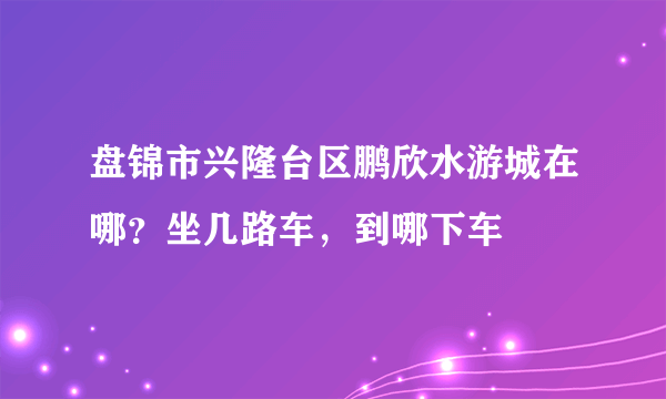 盘锦市兴隆台区鹏欣水游城在哪？坐几路车，到哪下车