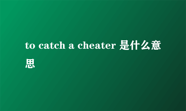 to catch a cheater 是什么意思