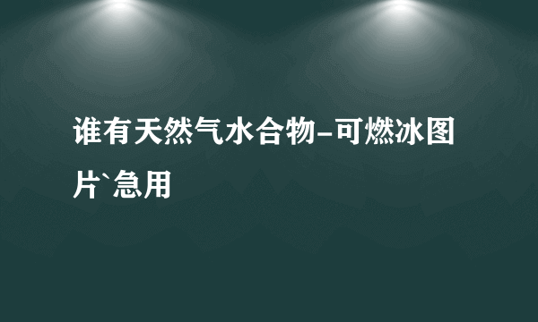 谁有天然气水合物-可燃冰图片`急用