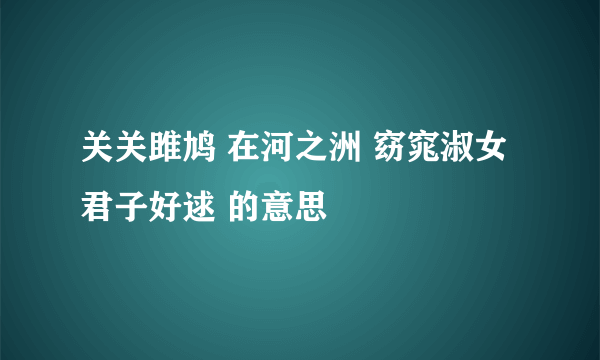 关关雎鸠 在河之洲 窈窕淑女 君子好逑 的意思