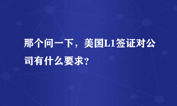 那个问一下，美国L1签证对公司有什么要求？