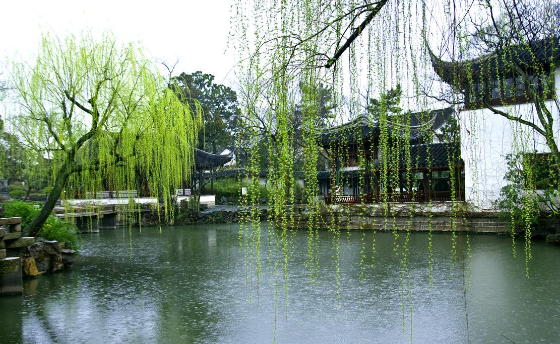 什么的春雨 词语填空