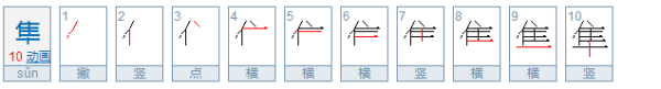 隼怎么读？