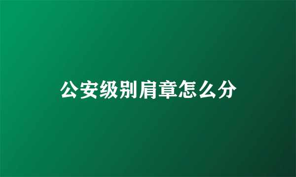 公安级别肩章怎么分