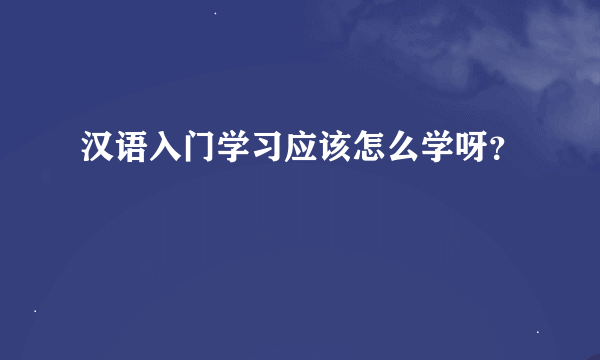 汉语入门学习应该怎么学呀？