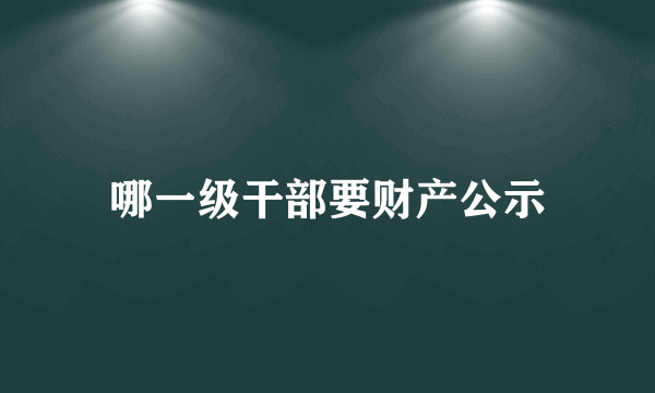 哪一级干部要财产公示