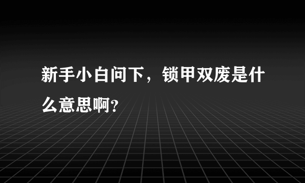 新手小白问下，锁甲双废是什么意思啊？