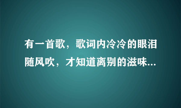 有一首歌，歌词内冷冷的眼泪随风吹，才知道离别的滋味，多少汗水，多少心醉……依然你最美。求歌名及发歌