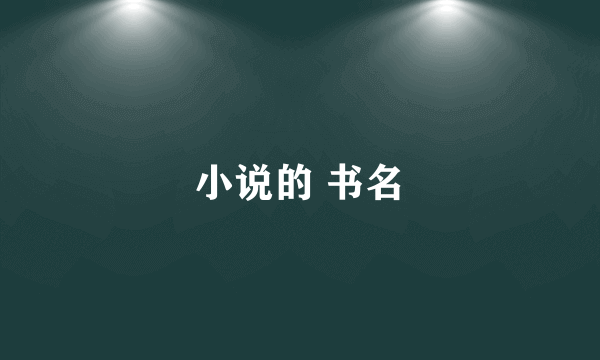 小说的 书名