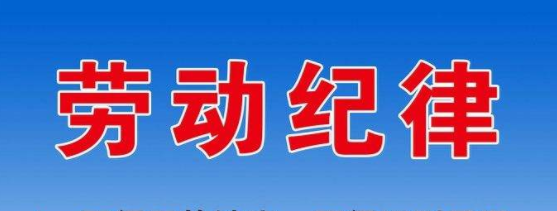 劳动纪律检查包括哪些内容