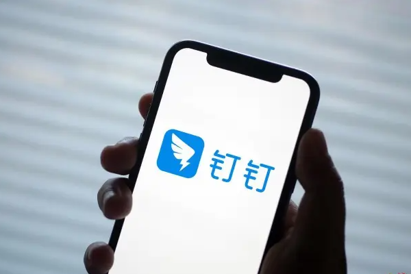 钉钉是个什么软件？它的哪些功能别的app比不了？