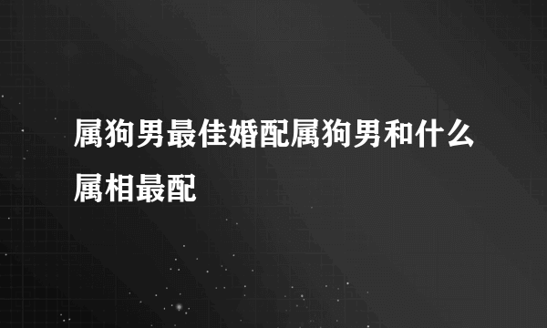 属狗男最佳婚配属狗男和什么属相最配