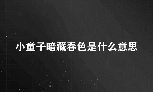 小童子暗藏春色是什么意思